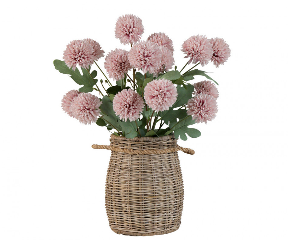 Set 5 Pink Kiku Chrysanthemum Stems