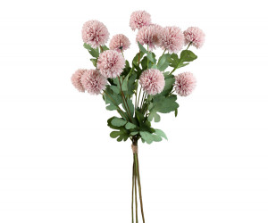 Set 5 Pink Kiku Chrysanthemum Stems