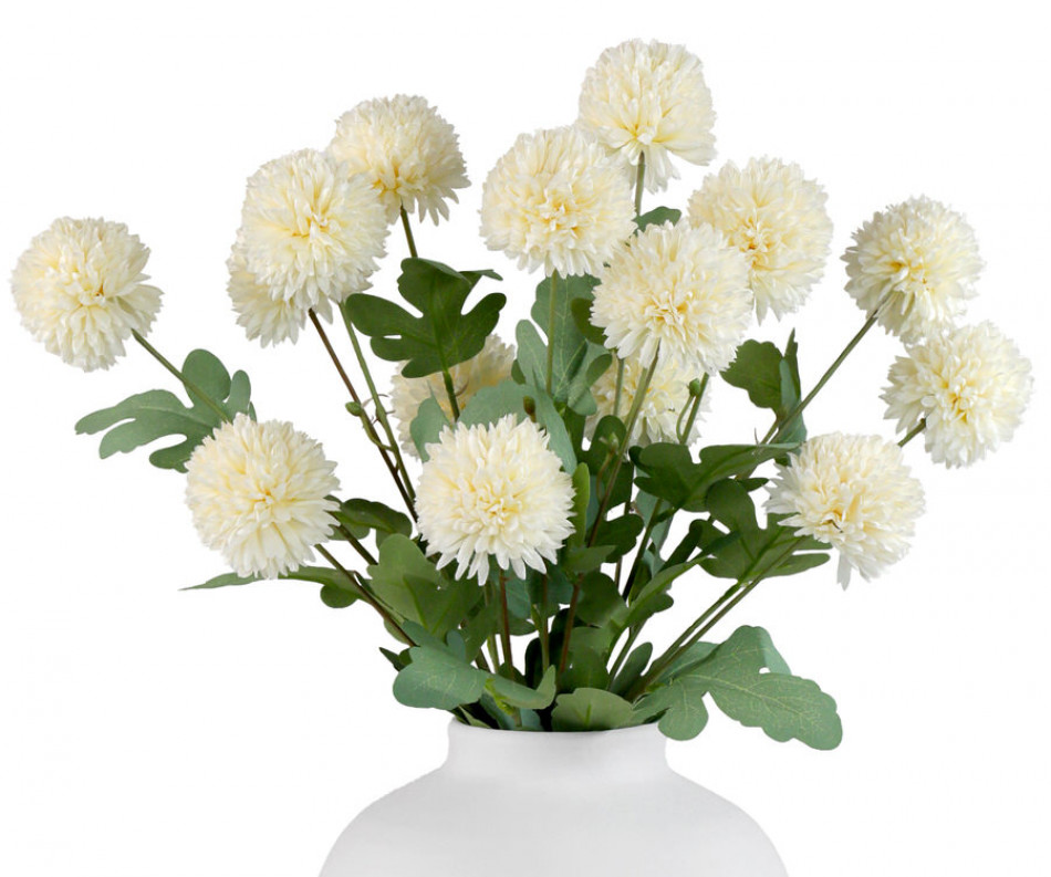 Set 5 Cream Kiku Chrysanthemum Stems