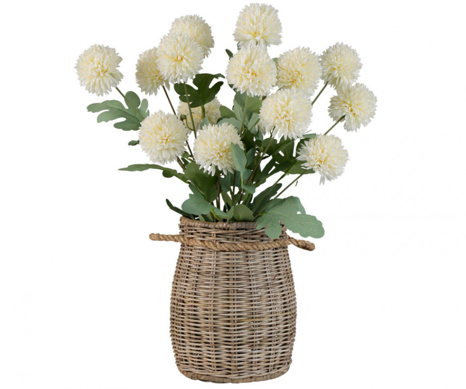 Set 5 Cream Kiku Chrysanthemum Stems