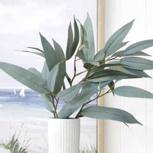 Blue Gum Eucalyptus Stem, decorative lighting accessory