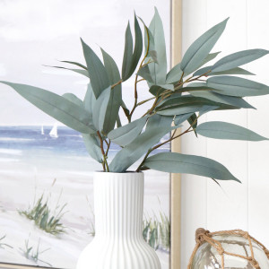 Blue Gum Eucalyptus Stem, a decorative botanical stem or arrangement for styling in a vase