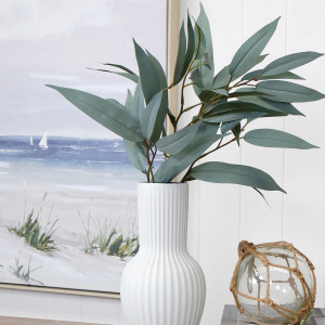 Blue Gum Eucalyptus Stem, decorative flowers or foliage for vase styling