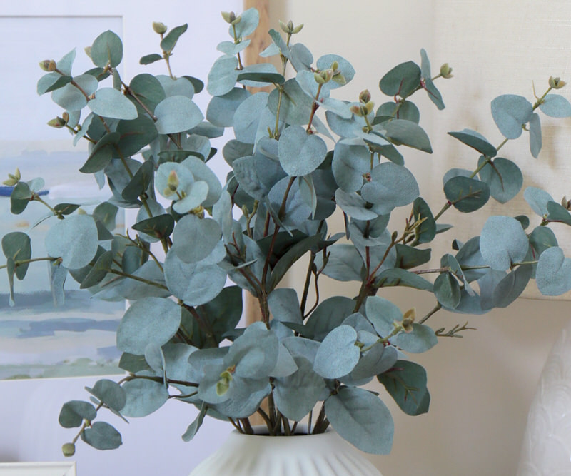 Set 3 Carragin Blue Eucalyptus Stems