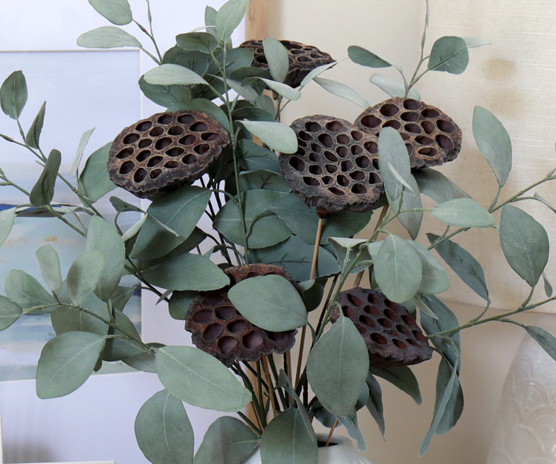 Set 8 Dried Lotus Seed Pods