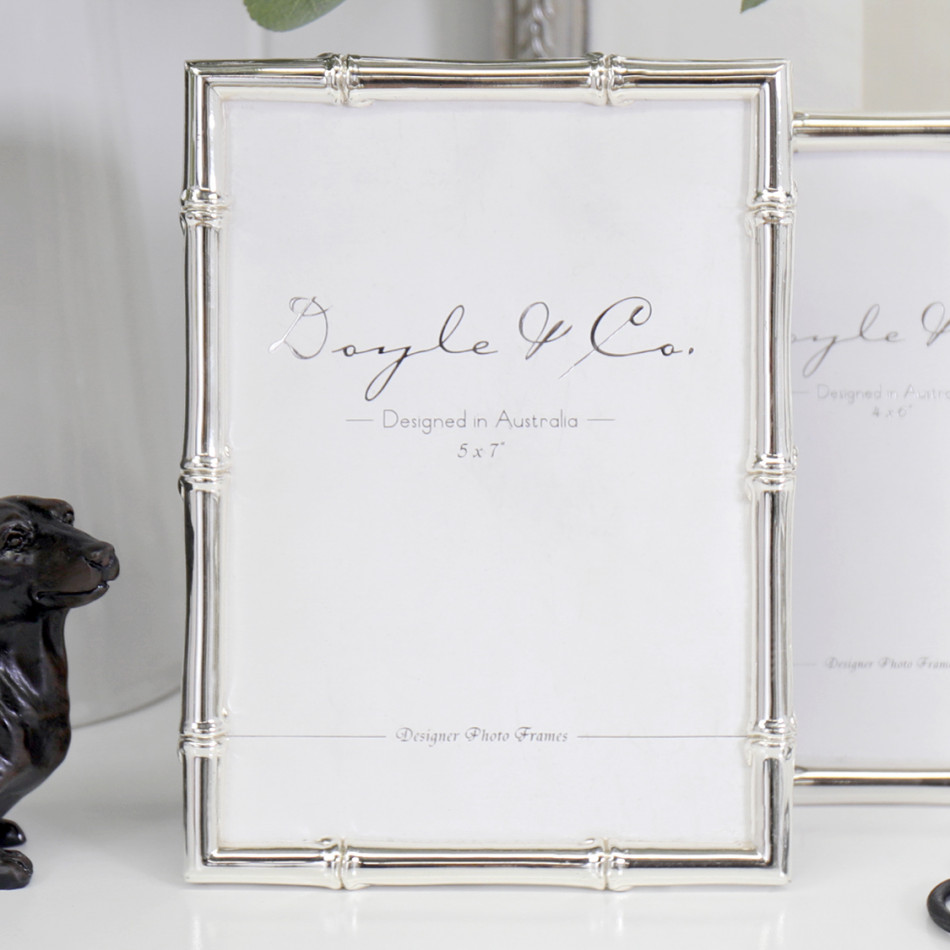 Luxe Silver Bamboo Photo Frame - 5x7
