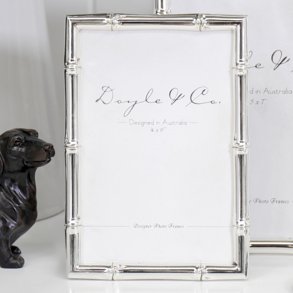 Luxe Silver Bamboo Photo Frame - 6x4, a display frame for a photograph or print