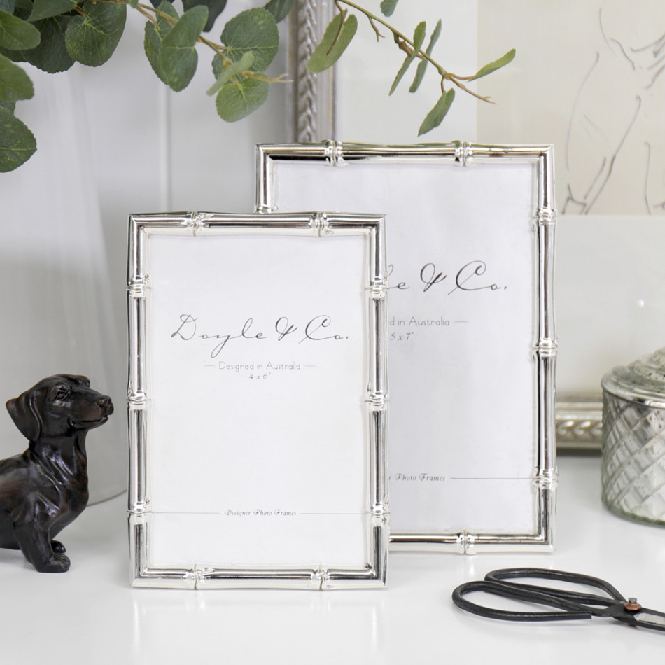 Luxe Silver Bamboo Photo Frame - 5x7, a display frame for a photograph or print