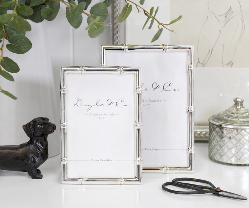 Luxe Silver Bamboo Photo Frame - 5x7