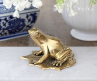 Golden Brass Frog On Leaf