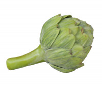 Ambrosia Green Artichoke