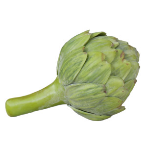 Ambrosia Green Artichoke