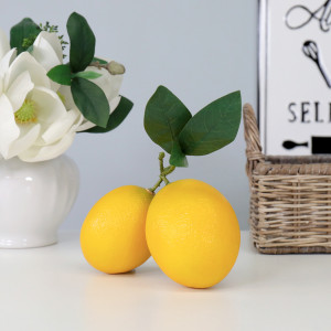 Lisbon Lemon Cluster with Leaf, shown as a standalone product for clear identification