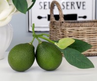 Tahiti Lime Cluster with Leaves