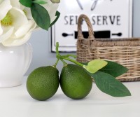 Tahiti Lime Cluster with Leaves