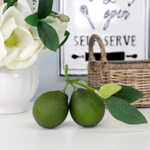 Tahiti Lime Cluster with Leaves, shown as a standalone product for clear identification
