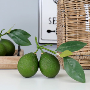 Tahiti Lime Cluster with Leaves, highlighting the product's distinctive form and defining design