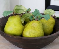 Bartlett Pear with Leaves