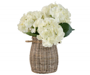 Set 3 Lush Cream Hydrangea Stems