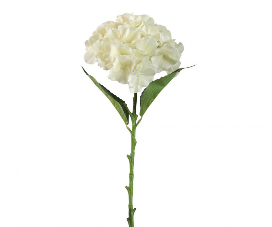 Set 3 Lush Cream Hydrangea Stems