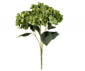 Set 5 Peridot Green Hydrangeas Bouquet