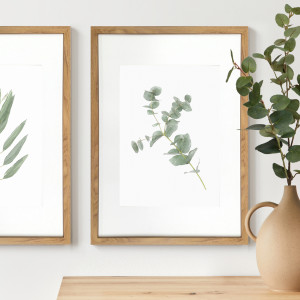 Kendale I Eucalyptus Botanical Print - Framed, decorative wall artwork for an interior display
