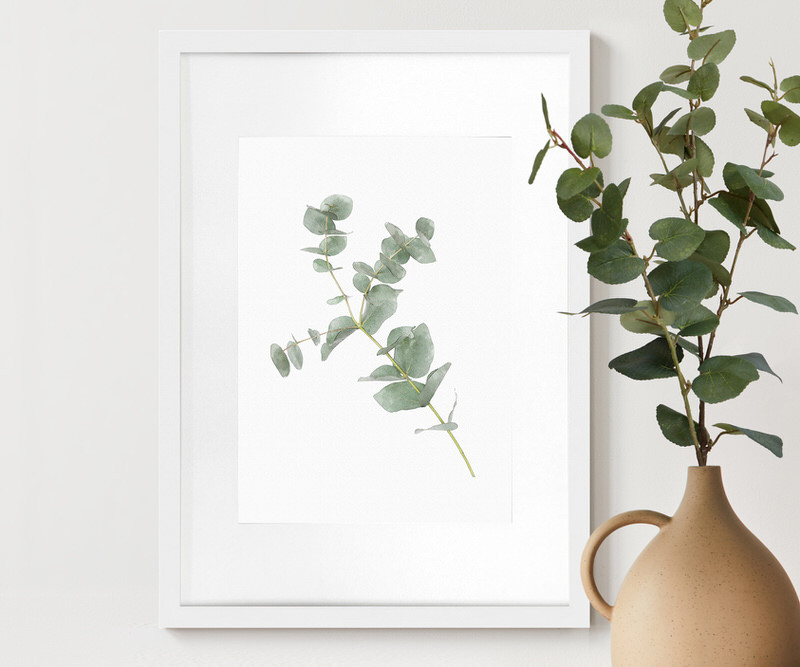 Kendale I Eucalyptus Botanical Print - Framed