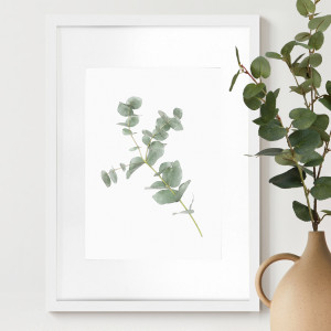 Kendale I Eucalyptus Botanical Print - Framed, a wall display piece featuring the named subject and composition