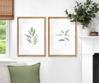 Kendale II Eucalyptus Botanical Print - Framed