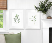 Kendale II Eucalyptus Botanical Print - Framed