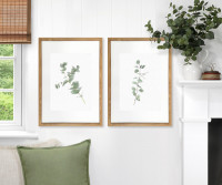 Kendale I Eucalyptus Botanical Print - Framed