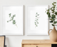 Kendale III Eucalyptus Botanical Print - Framed