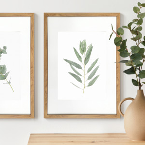 Kendale IV Eucalyptus Botanical Print - Framed, decorative wall artwork for an interior display