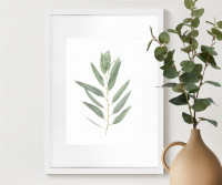 Kendale IV Eucalyptus Botanical Print - Framed