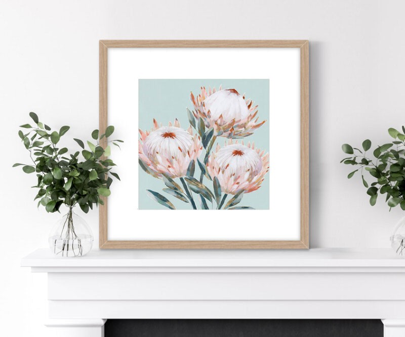 In the Pink Proteas II Framed Print