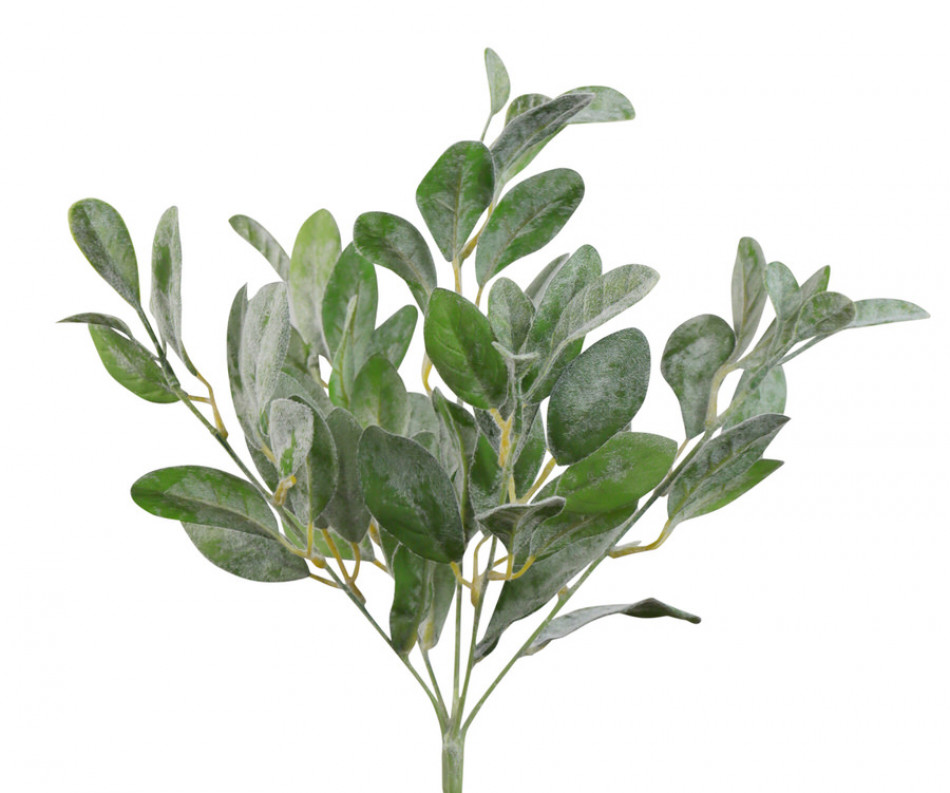 Set 3 Lamb's Ear Leaf Stems