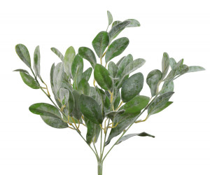 Set 3 Lamb's Ear Leaf Stems