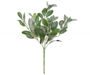 Set 3 Lamb's Ear Leaf Stems