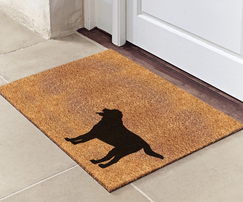 Decorative Patterned Coir Door Mats with Nature Designs Wipe Your Paws Thick Black Ginger Large 