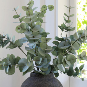 Wallace Silver Dollar Eucalyptus Stem, designed to add lasting floral or foliage detail to an interior display