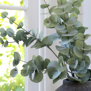 Wallace Silver Dollar Eucalyptus Stem, decorative flowers or foliage for vase styling