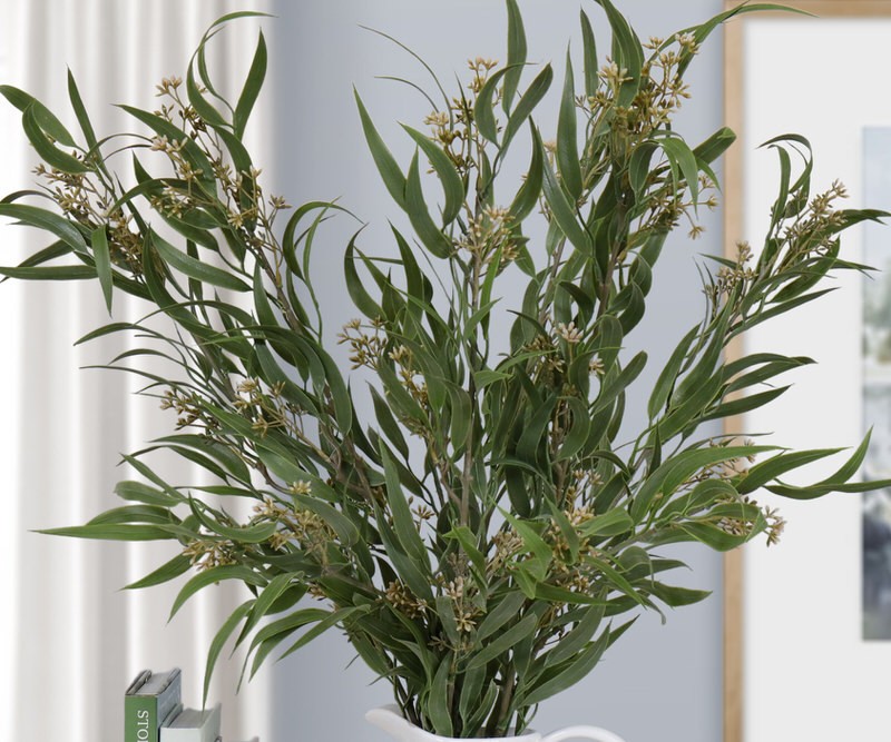 Set 3 XL Seeded Eucalyptus Spray