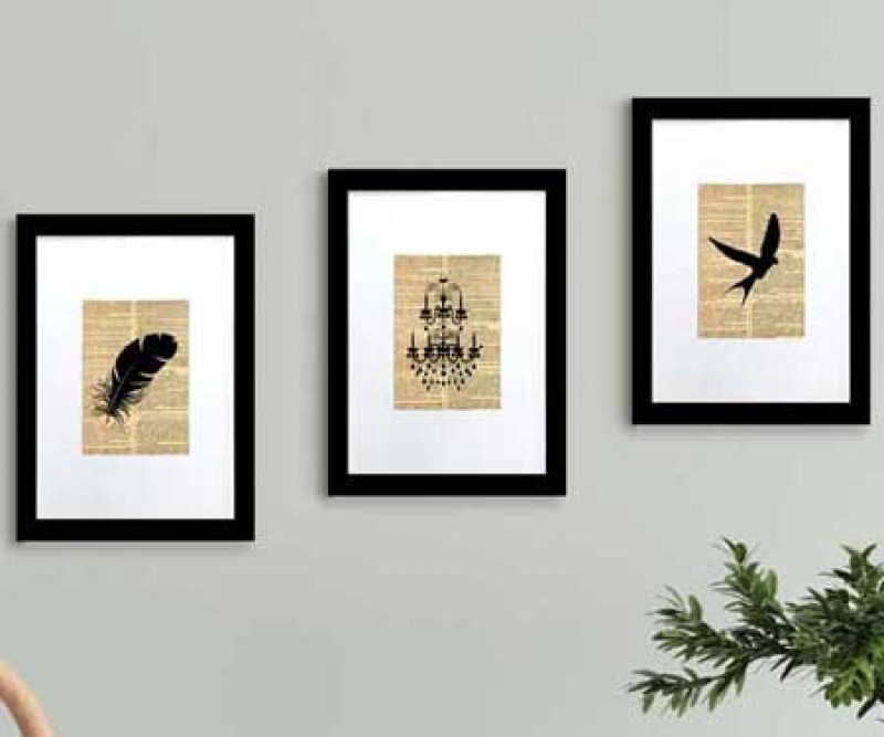 Set 3 Vintage Feather, Bird, Chandelier Prints A4