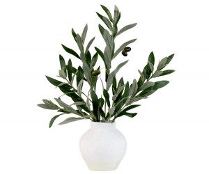 Coratina Olive Leaf Spray