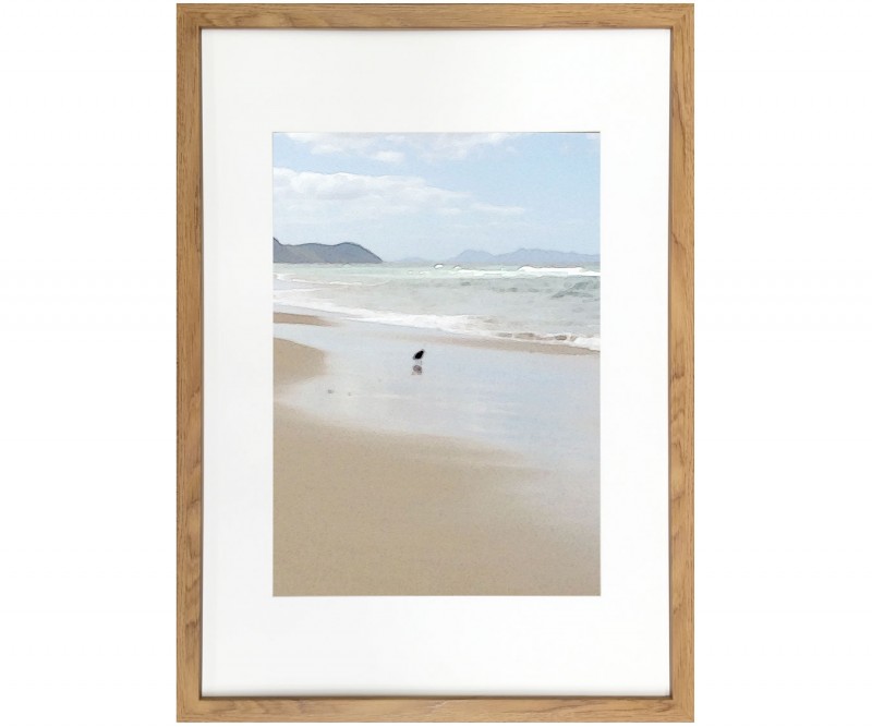 Oyster Catcher - A2 Framed Art Print