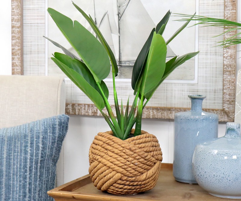 Banana Leaf Palm in Rope Knot Pot