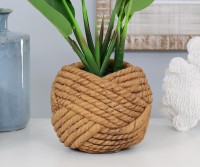 Banana Leaf Palm in Rope Knot Pot