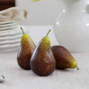 Set 3 Bosc Brown Pears, highlighting the product's distinctive form and defining design