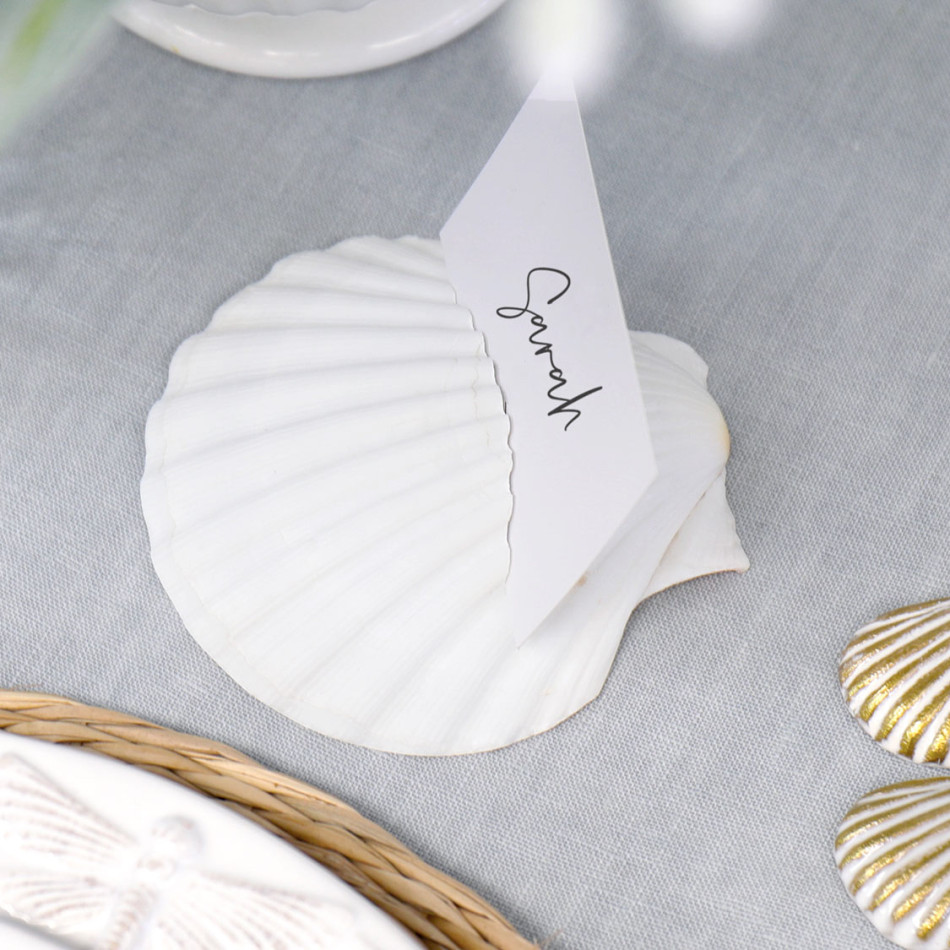 Set 8 Scallop Shell Place Card Holders, decorative home accessory
