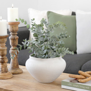Allerton Silver Dollar Eucalyptus Potted Plant, an easy-care decorative plant arranged for indoor display